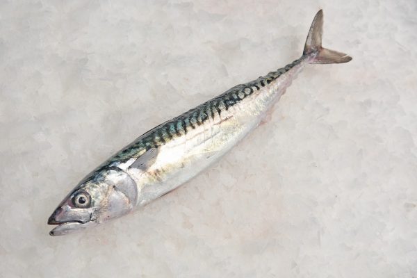 Caballa