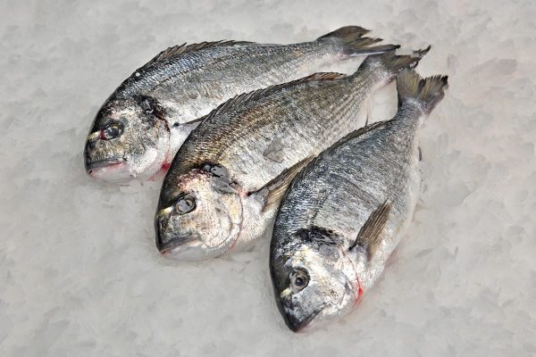 Dorada