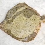 peixexpres-productos-rodaballo-1